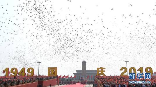 和平鸽(和平象征)