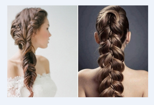 辫子(头发编织成的发型)