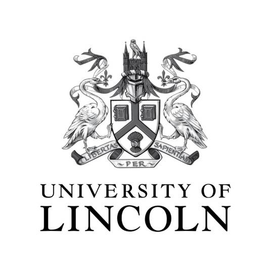 林肯大学（英国公立综合性研究型大学）