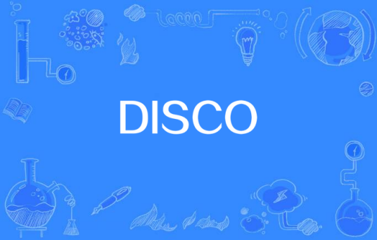 DISCO（迪斯科英文名）