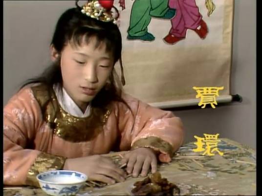 贾环(小说《红楼梦》中人物)