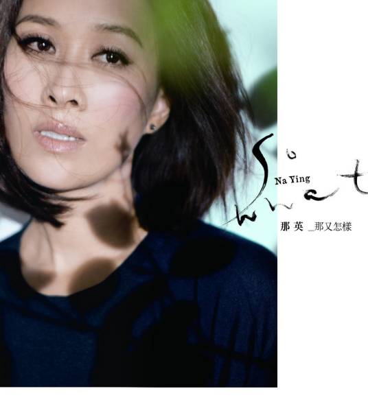 长镜头(2011年那英演唱的歌曲)