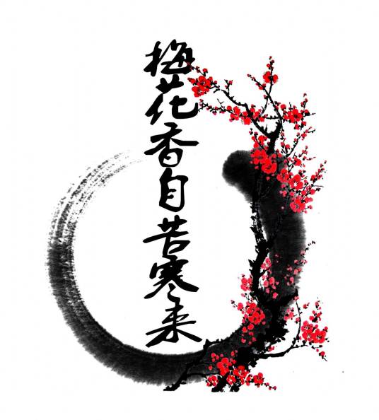 梅花香自苦寒来（成语）