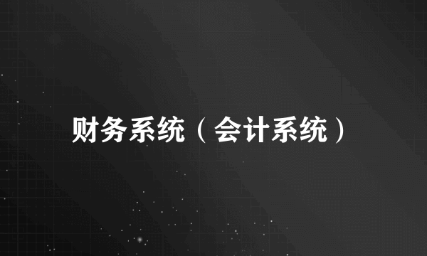 财务系统（会计系统）