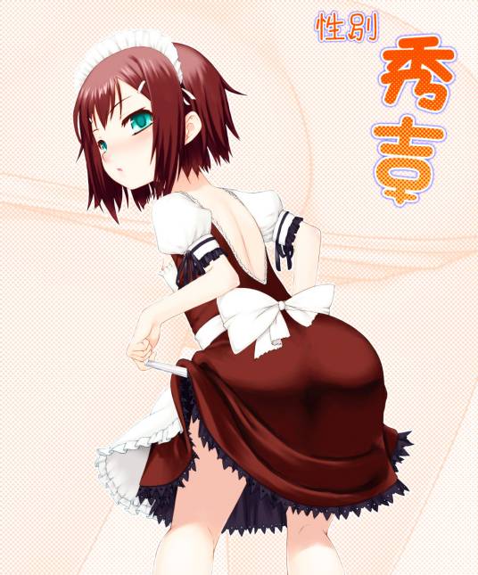 秀吉（ACGN领域用语）