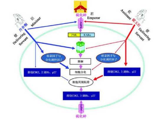 协同效应（德国物理学家赫尔曼·哈肯提出概念）