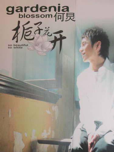 栀子花开（2004年何炅演唱的歌曲）