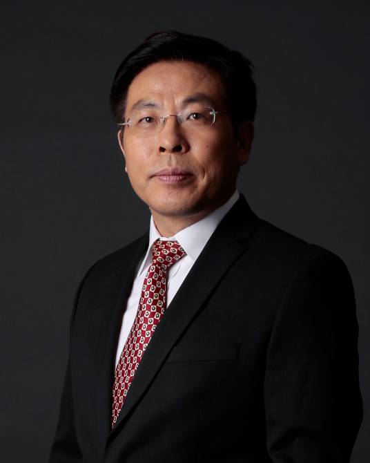 刘辉(紫光集团战略咨询委员会主任委员)