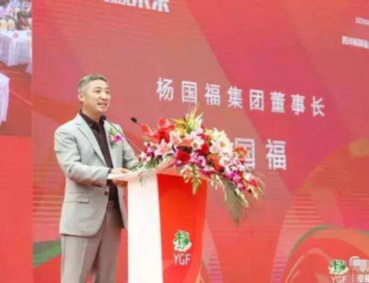 杨国福（杨国福餐饮集团董事长）