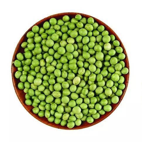 青豆（一年生攀缘草本植物）