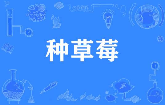 种草莓（网络流行词）