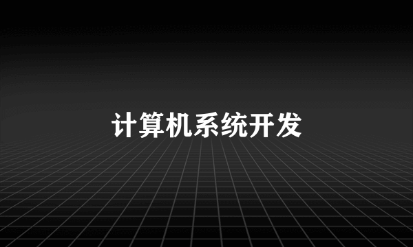计算机系统开发