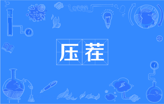 压茬（十九大报告中提到的词）