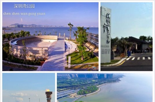深圳湾公园