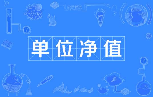 单位净值