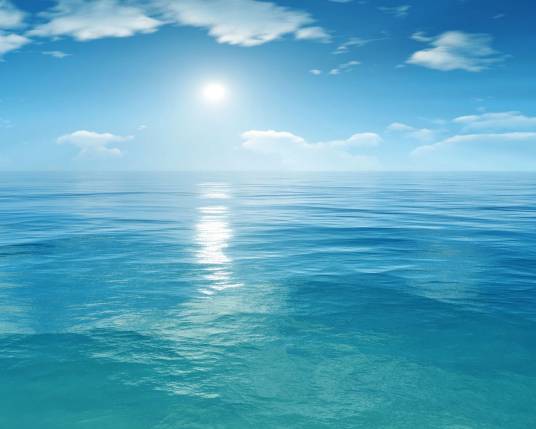 海水(海中或来自海中的水)