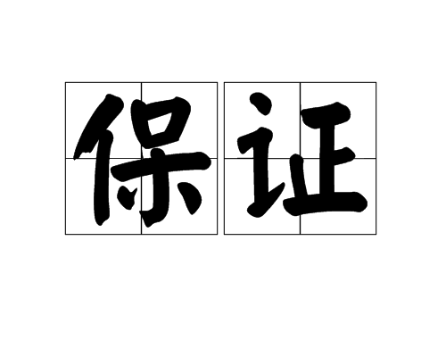 保证(保险名词)