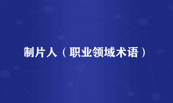 制片人（职业领域术语）