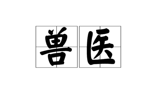 兽医(词语概念)