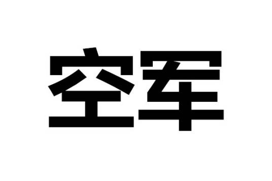 空军（进行空中作战的军种）