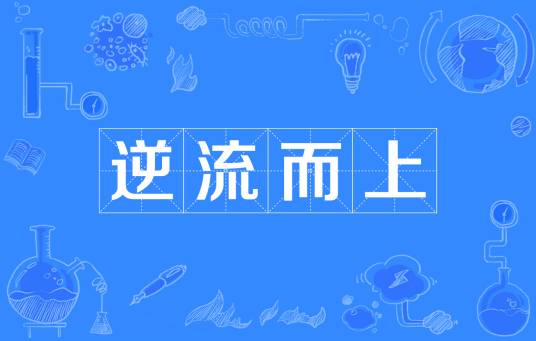 逆流而上（成语）