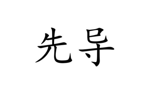 先导