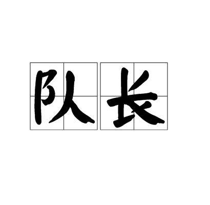 队长（在团队中起到带头作用的人）