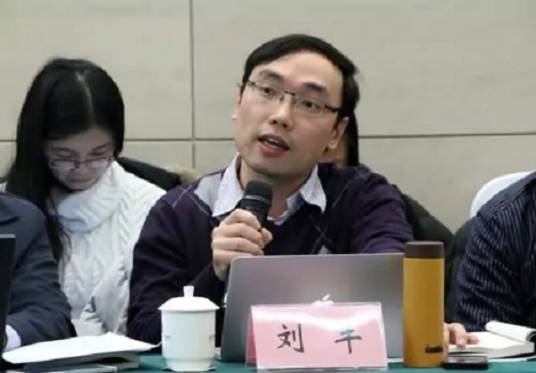 刘丰(清华大学教授)