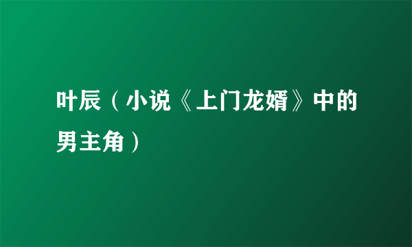 叶辰（小说《上门龙婿》中的男主角）