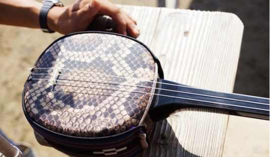 三弦琴(中国弹拨乐器)