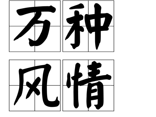 万种风情（汉语词语）