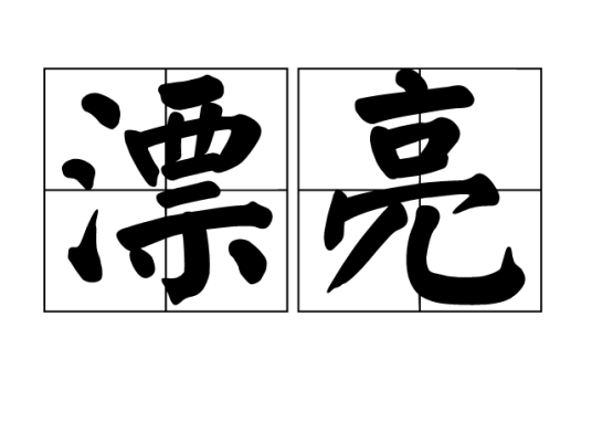 漂亮（汉语词语）