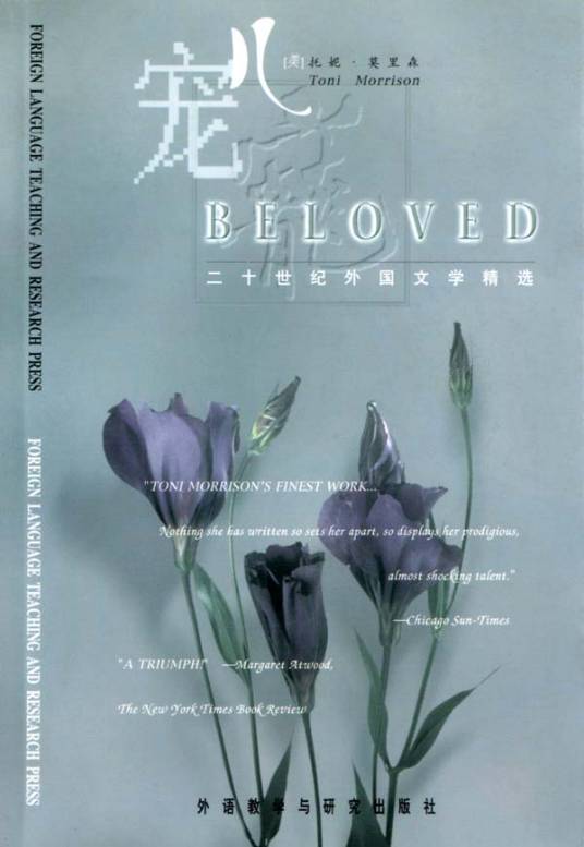 宠儿（托妮·莫里森著小说）