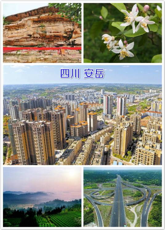安岳县