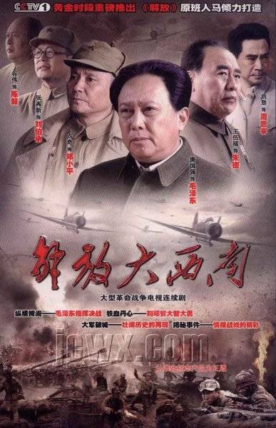 解放大西南(2010年唐国强等主演的电视剧)