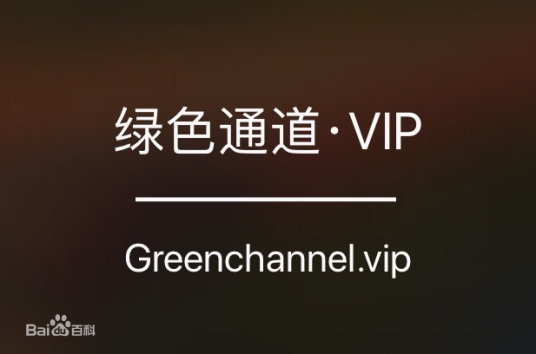 绿色通道（词语）