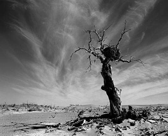 西风（词语解释）