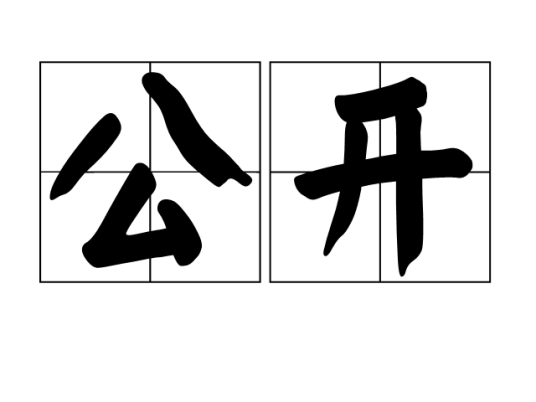 公开(汉语词语)