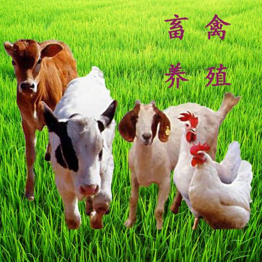 畜禽（经过长期劳动驯化的各种动物）