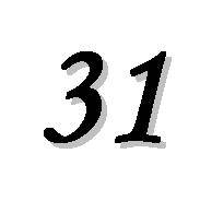 31（自然数）