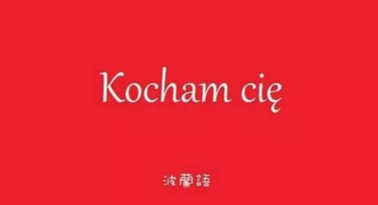 波兰语（印欧语系斯拉夫语族西斯拉夫语支语言）
