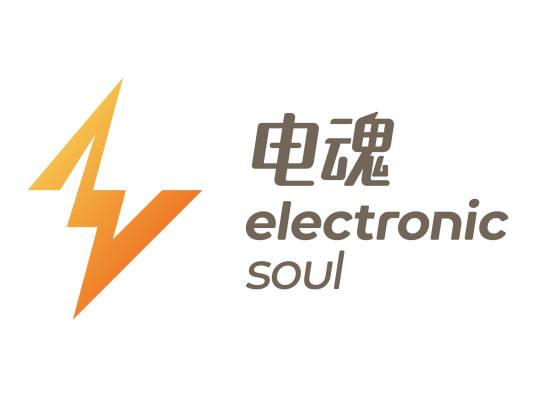 杭州电魂网络科技股份有限公司