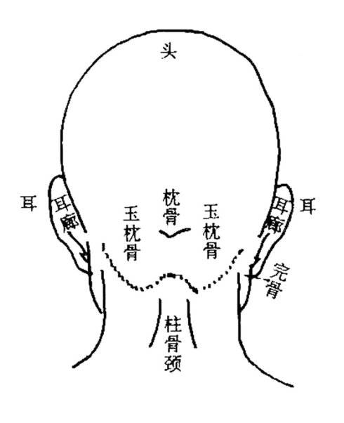 反骨（文化术语）