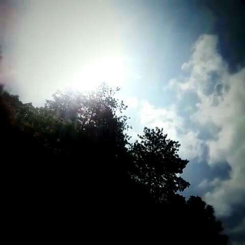 中午（汉语词语）