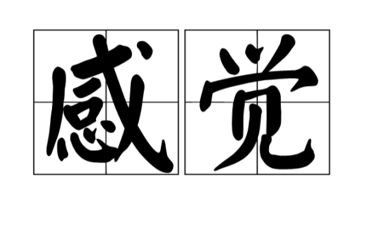 感觉（心理学概念）