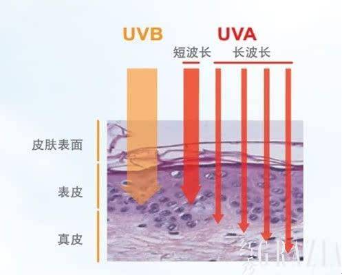 UVA（紫外线分类）