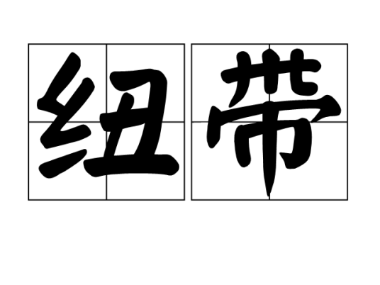 纽带（汉语词语）