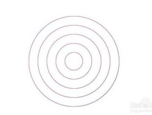 同心圆(数学概念)
