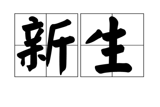 新生（汉语词语）
