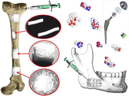 生物材料（名词）